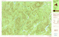 Bakers Mills 1990 topographic map thumbnail