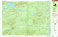 Blue Mtn Lake topographic map thumbnail