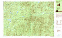 Blue Ridge 1989 topographic map thumbnail