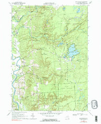 Brantingham 1966 topographic map thumbnail