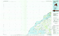 Cape Vincent topographic map thumbnail