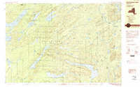 Honnedaga Lake 1989 topographic map thumbnail