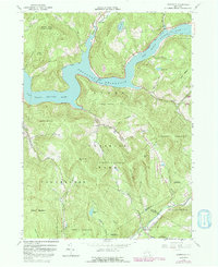 Lewbeach 1965 topographic map thumbnail