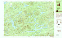 Forked Lake 1989 topographic map thumbnail