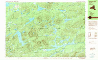 Forked Lake 1989 topographic map thumbnail