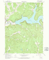 Downsville 1965 topographic map thumbnail