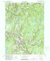 Livingston Manor 1965 topographic map thumbnail