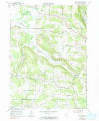 New Albion 1963 topographic map thumbnail