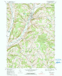 Newark Valley 1969 topographic map thumbnail