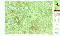 Newcomb 1989 topographic map thumbnail