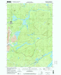Newton Falls 1999 topographic map thumbnail