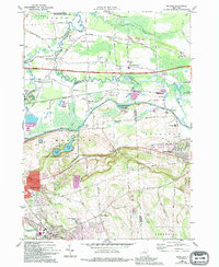 Manlius 1973 topographic map thumbnail