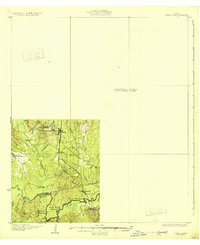 Zavalla 1931 topographic map thumbnail