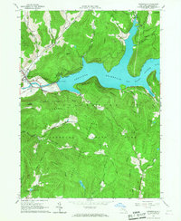 Downsville 1965 topographic map thumbnail