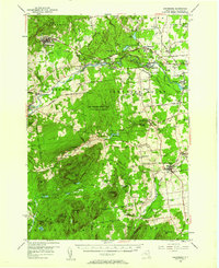 Dannemora 1956 topographic map thumbnail