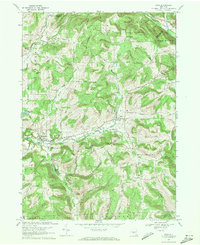 Erin 1969 topographic map thumbnail