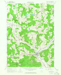 Ellicottville 1964 topographic map thumbnail