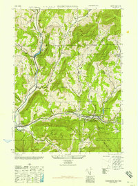 Fleischmanns 1945 topographic map thumbnail