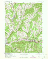 Fleischmanns 1945 topographic map thumbnail