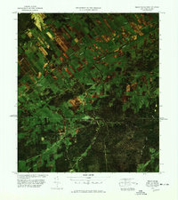 Trout River Port of Entry topographic map thumbnail