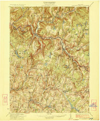 Livingston Manor 1923 topographic map thumbnail