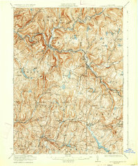 Livingston Manor 1923 topographic map thumbnail