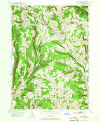 Speedsville 1949 topographic map thumbnail