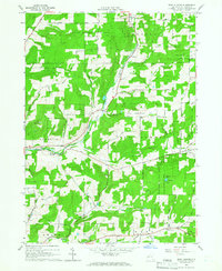 West Almond 1964 topographic map thumbnail