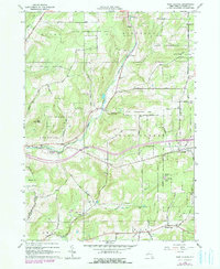 West Almond 1964 topographic map thumbnail