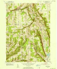 West Danby 1950 topographic map thumbnail
