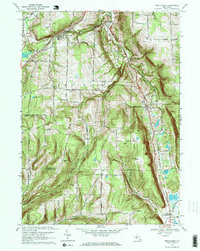 West Danby 1969 topographic map thumbnail