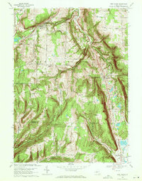 West Danby 1969 topographic map thumbnail