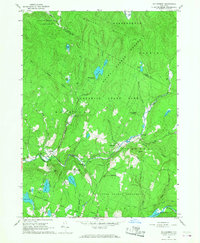 Willowemoc 1966 topographic map thumbnail