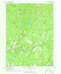 Willowemoc 1966 topographic map thumbnail