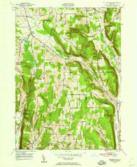 Willseyville 1949 topographic map thumbnail
