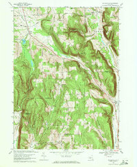 Willseyville 1969 topographic map thumbnail