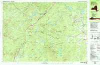 Witherbee 1978 topographic map thumbnail