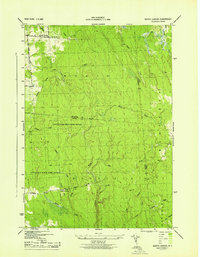 Worth Center 1943 topographic map preview
