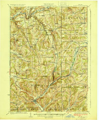 Ellicottville 1924 topographic map thumbnail