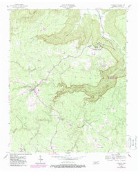 Altamont 1956 topographic map thumbnail