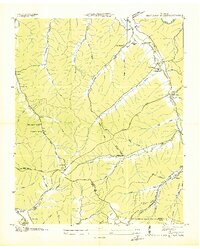 Beaverdam Springs 1936 topographic map thumbnail
