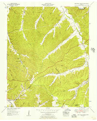 Beaverdam Springs 1952 topographic map thumbnail