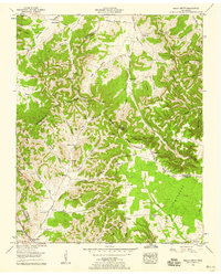 Beech Grove topographic map thumbnail