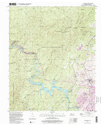 Ducktown 1999 topographic map thumbnail