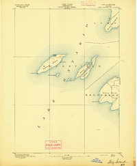 Stony Island 1895 topographic map thumbnail
