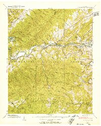 Fish Springs 1938 topographic map thumbnail