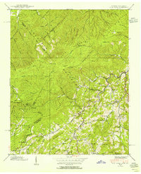 Flag Pond 1939 topographic map thumbnail