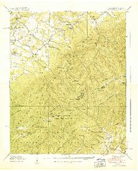 Greystone 1939 topographic map thumbnail
