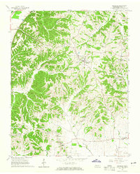 Hornbeak 1964 topographic map thumbnail