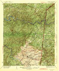 Ducktown 1943 topographic map thumbnail